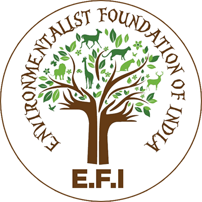 Environmentalist Foundation of India logo